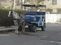 Carrosse à Saint-Louis, Sénégal