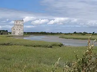 Image illustrative de l’article Château de Carrigafoyle