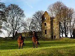 Arbres dépouillés. Ruines d'un château. Au premier plan, deux chevaux dans une prairie.