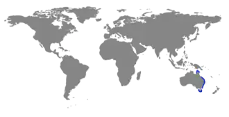 Description de l'image Carte du monde crete.png.