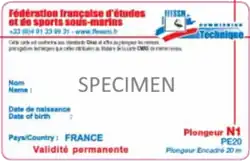 Image illustrative de l’article Plongeur niveau 1