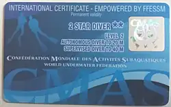 Image illustrative de l’article Plongeur niveau 2