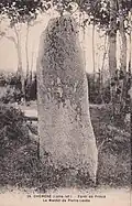 Carte postale ancienne du menhir de Pierre-Levée,dans la forêt de Princé.