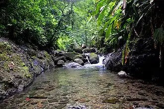 Image illustrative de l’article Rivière Case Navire