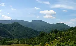 Vue dans le parc national.