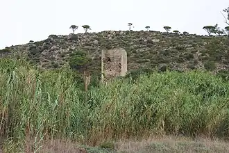 La tour de Casesnoves entre roseaux et falaises.