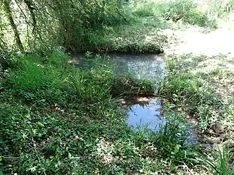 Vestiges de l'établissement gallo-romain.