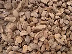 voir la légende ci-après