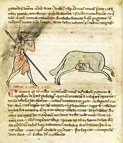 La même légende, dans le bestiaire de Pierre de Beauvais