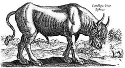 Description de cette image, également commentée ci-après