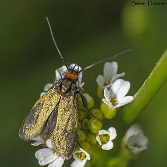 Description de cette image, également commentée ci-après