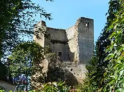Les ruines du donjon.