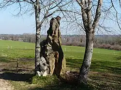 Mégalithe de la Malroussie.