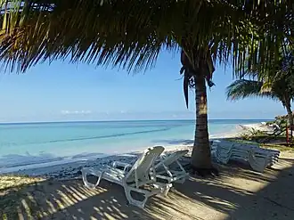 Plage de sable blanc à Cayo Jutías