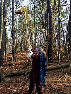 Calédonie (Écosse au temps de l'Empire romain).