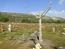 Arbre sec du simulacre de la pendaison de Tuco.