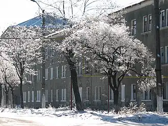 Petrovo Krasnosillia