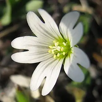 Description de cette image, également commentée ci-après