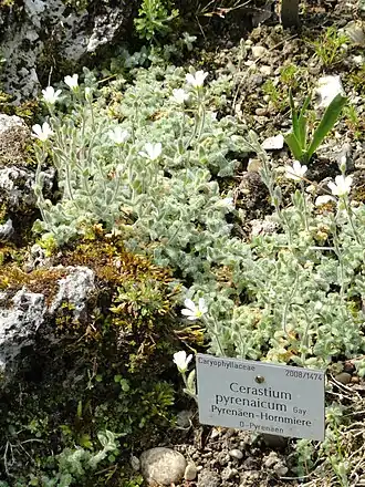 Description de cette image, également commentée ci-après