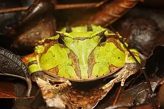 Description de cette image, également commentée ci-après