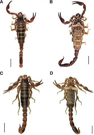 Description de cette image, également commentée ci-après