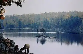 Image illustrative de l’article Parc Oméga