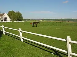 Paysage à Cerny-lès-Bucy.