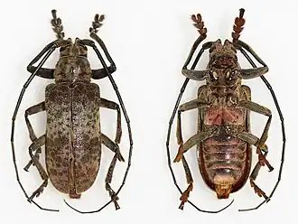 Description de cette image, également commentée ci-après