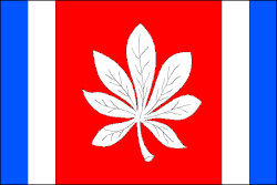 Drapeau de České Velenice