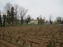 Vignoble du château