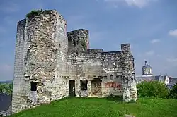 Château comtal des Roger de Beaufort.