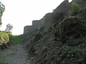 Image illustrative de l’article Château d'Herbeumont