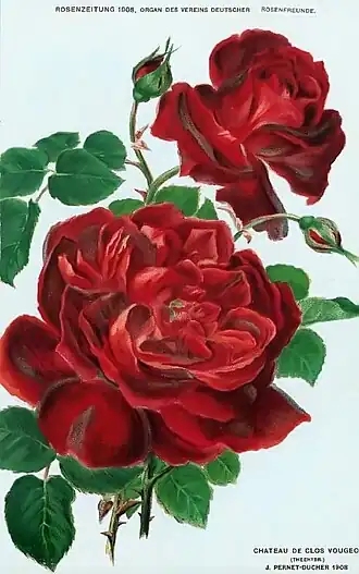 Image illustrative de l’article Château de Clos-Vougeot