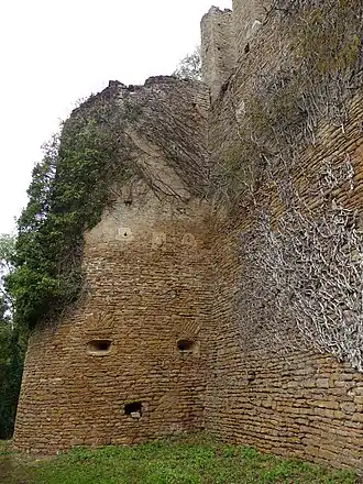 Image illustrative de l’article Château de Lourdon