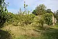 Vue d'une partie du verger et potager en chartreuse.
