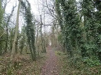 Chemin d'accès depuis Reulle-Vergy au nord.