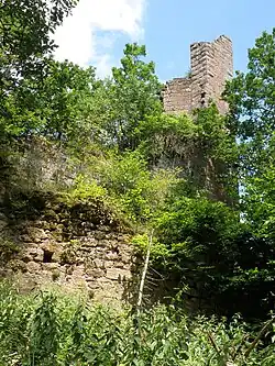Ruines du château.