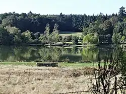 L'étang des Brochets.