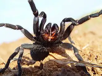 Description de cette image, également commentée ci-après