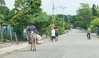 Cúpira (paroisse civile)