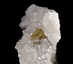Chalcopyrite sur quartz - Mine de Mont-Roc, Tarn, France  (5&nbsp;×&nbsp;3&nbsp;cm)