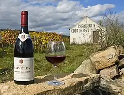 Un chambertin-clos-de-bèze sur le muret du clos.