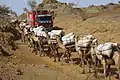 Transport de marchandises en Éthiopie.