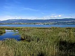 Panorama sur le lac.