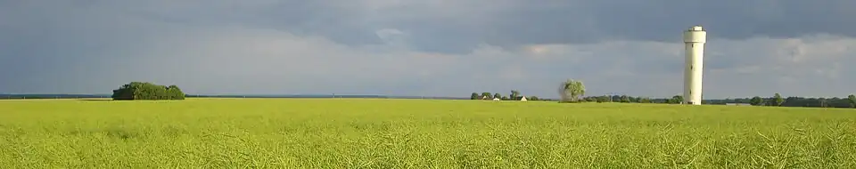 La Champagne berrichonne en 2008.