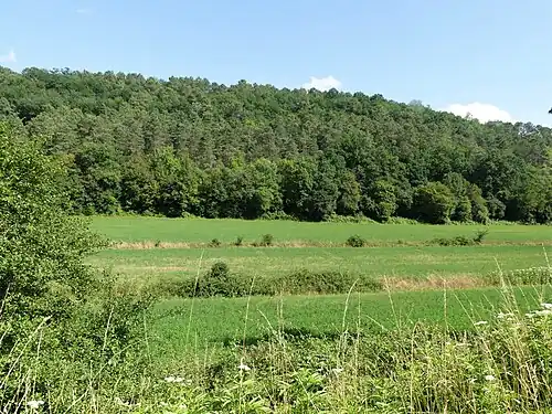 Au sud du lieu-dit Foncrose, le vallon du ruisseau en bordure de la route départementale 3.