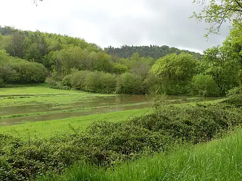 Le même ruisseau en période de crue, un peu plus en aval.