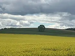 A Bière (Vaud), Avril 2024