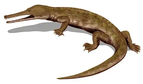 Reconstitution d'un Champsosaurus