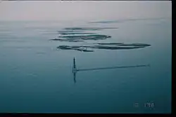 Après l'ouragan Georges (1989)